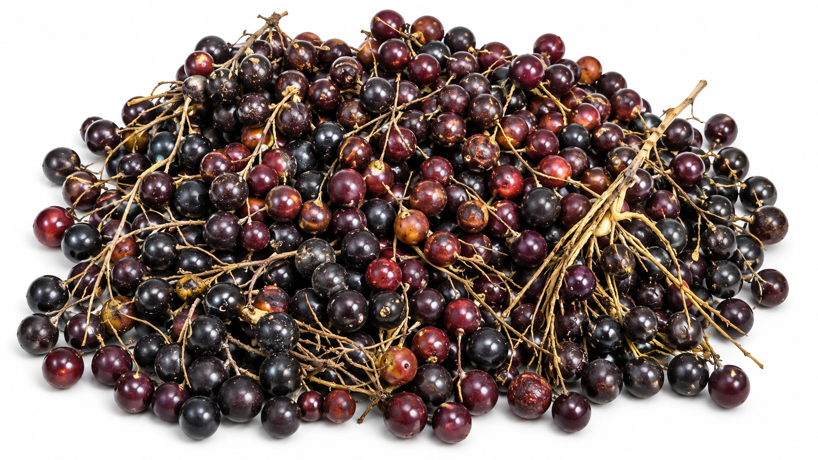 Corozo