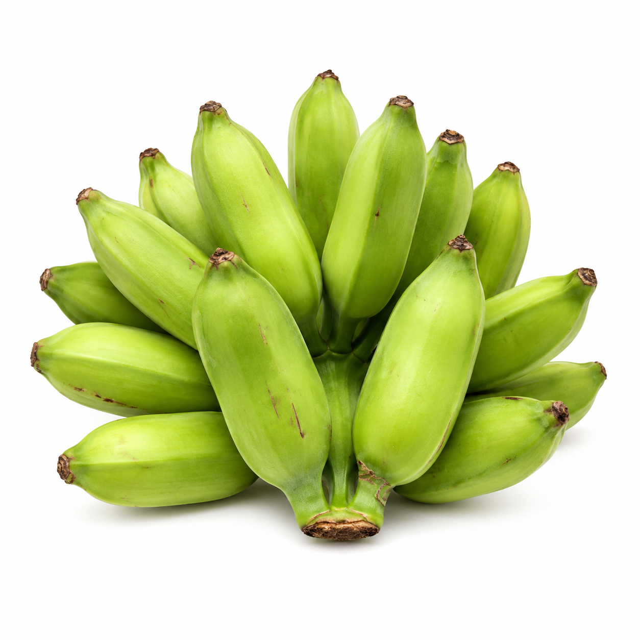 Popochos